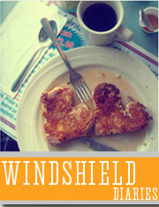 Windshield Diaries